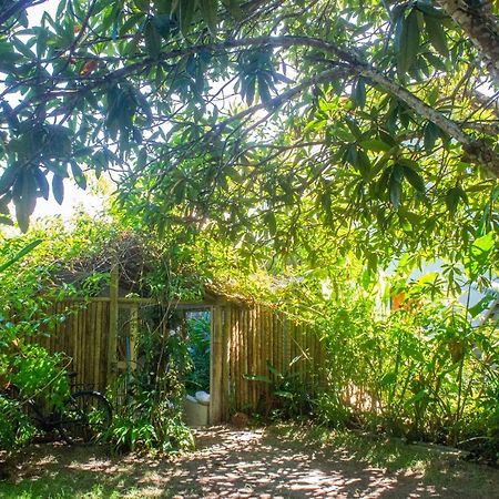 Petit Quadrado No Melhor Lugar De Trancoso Ngoại thất bức ảnh